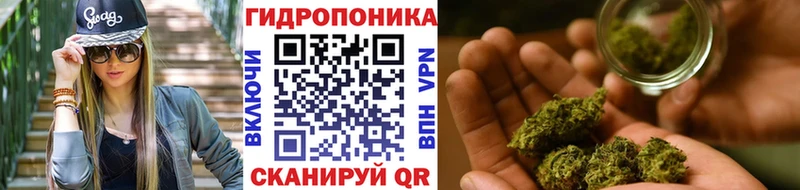 Бошки марихуана MAZAR  Верхняя Тура 